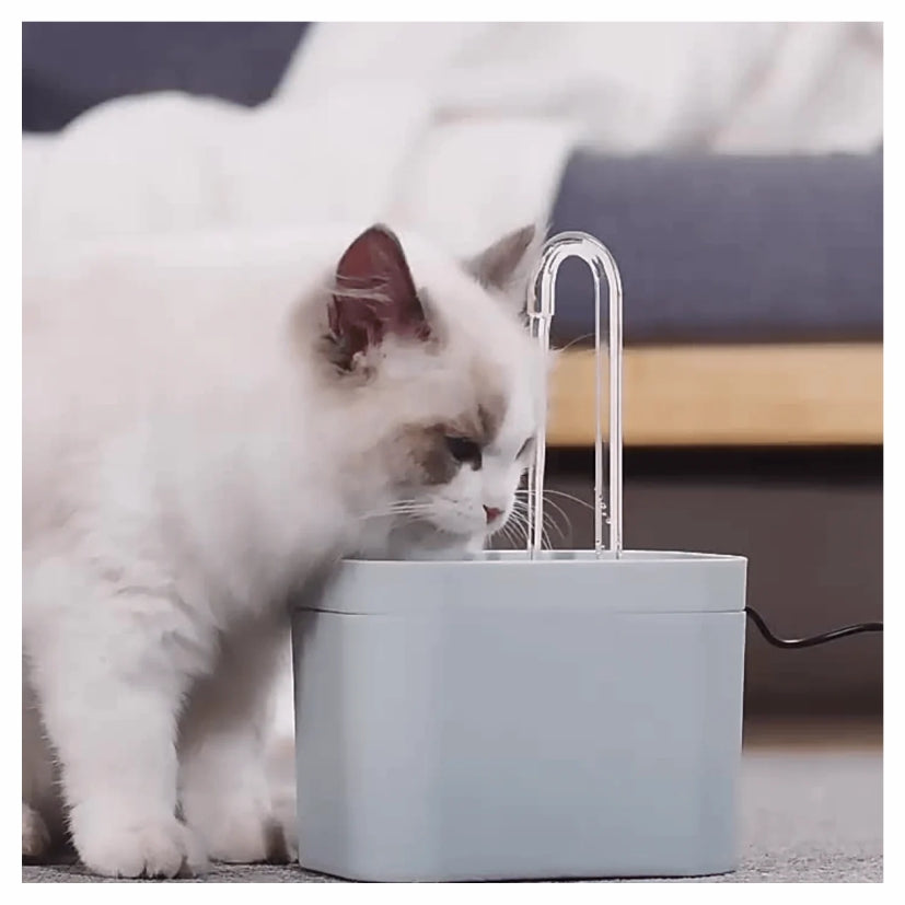 FONTAINE AUTOMATIQUE D'EAU POUR CHAT