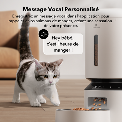 Distributeur intelligent Petlibro