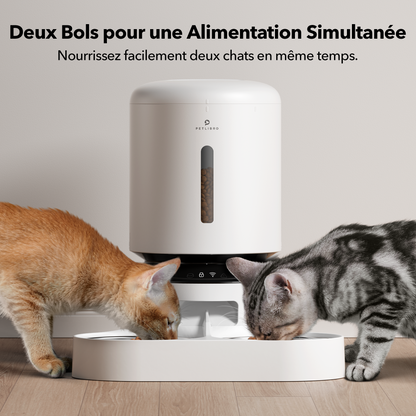 Distributeur intelligent Petlibro